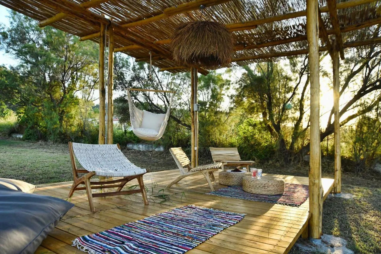 Ελιά Studio In Ktima Gerostathi Polychrono Villa